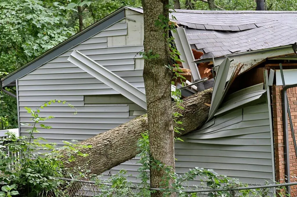 Storm Damage Your Home